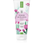 Tube of Lirene Power of Plants Opuntia Smoothing Body Balm with cactus and floral design on packaging.
